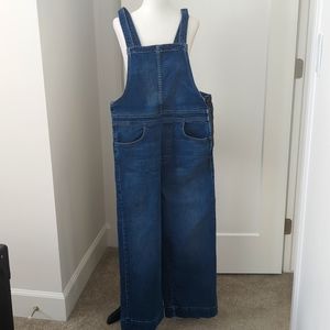 Mother Brand Overalls size 29